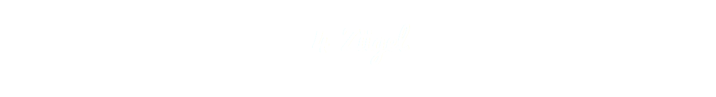 4 Zügel